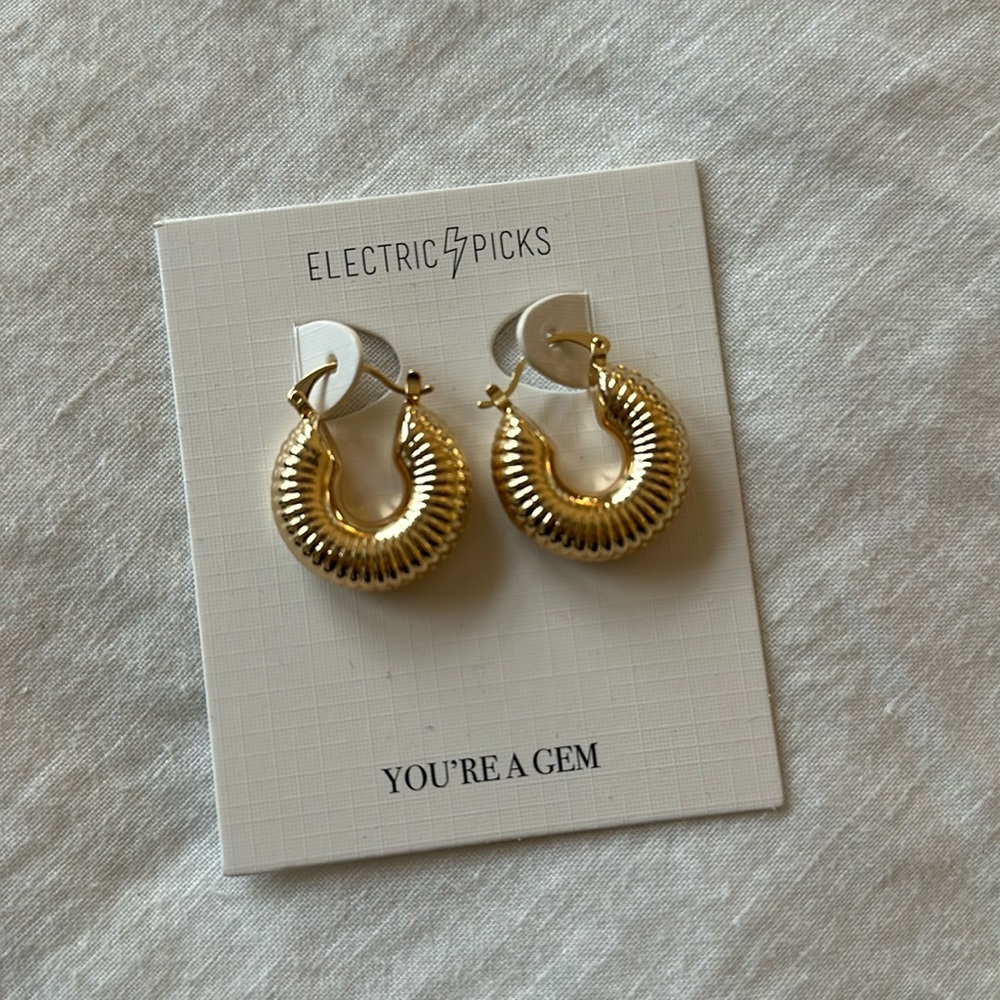 NEW Electric picks hoop earrings
